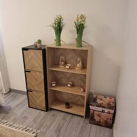 Appartement La Perle Rare Du Tréport