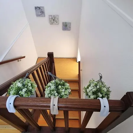 Appartement La Perle Rare Du Tréport *
