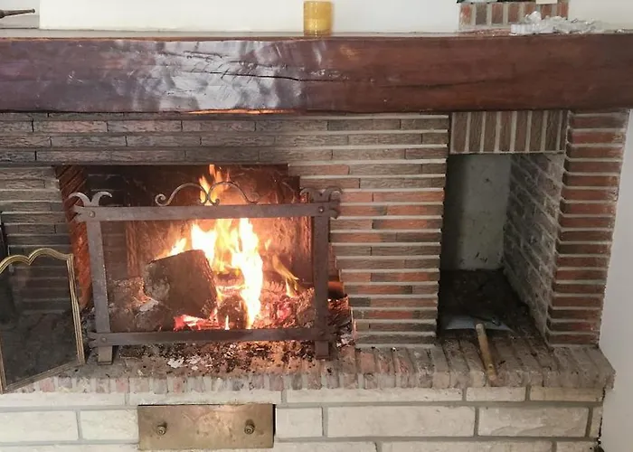 La Perle Rare Du Tréport *